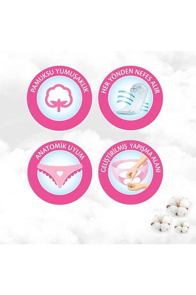 Molped Perfume-free Daily Pad 60 X 4 Pieces2200003195415