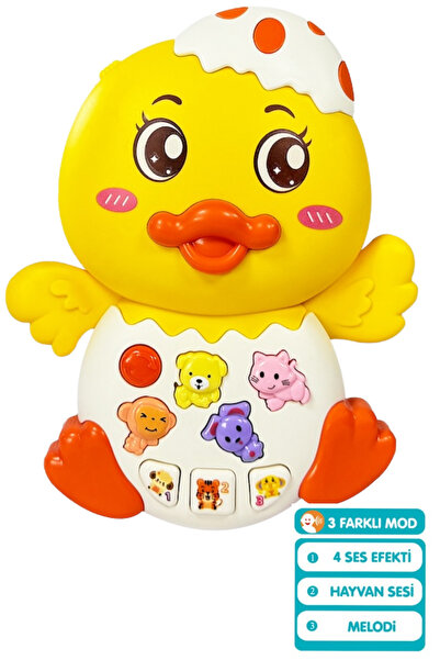 welcomein Oyuncak Işıklı ve Müzikli 3 Modlu 4 Farklı Hayvan Sesi ve Melodi Çalan Eğitici Tırtıl Ördek Piyanosu