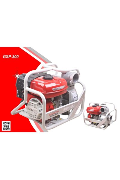 Samsung Power Gsp 300 3 " Su Motoru