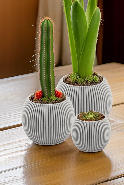 TEMMUZ HOME 3 Lü Set Kaktüs Ve Çiçekler Için Dekoratif Ve Şık Karasu Mercan S...