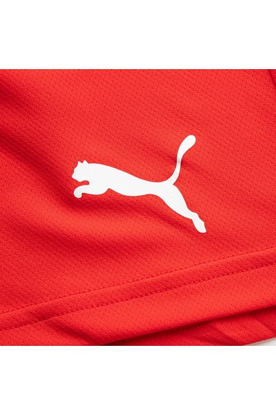 Puma Men's Football Shorts - Teamrise Short,70494201 Red
