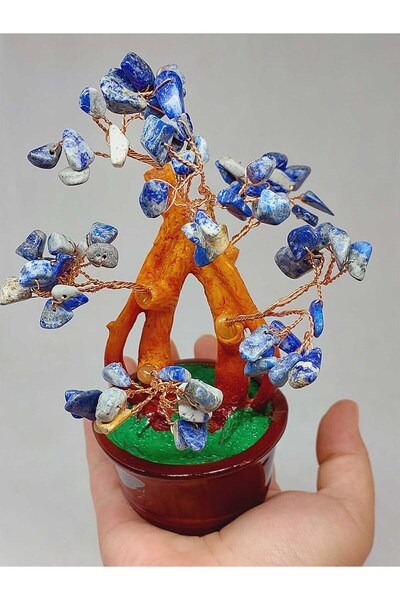 Yasamtohumu Arborele vieții din piatră lapis într-un ghiveci - 51554