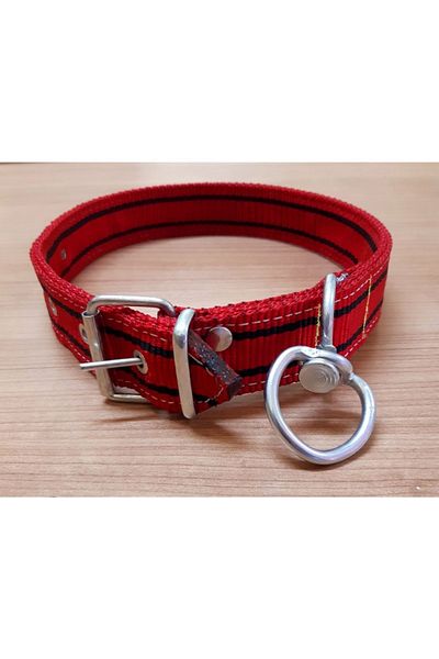 LE-SAR 4 Cm Double Layer Column Dog Collar