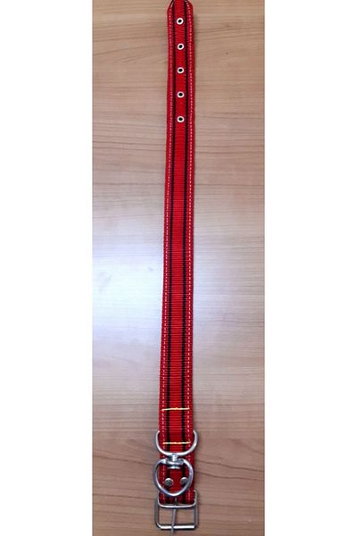LE-SAR 4 Cm Double Layer Column Dog Collar