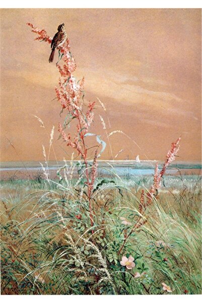 Tablosan Pictură pe pânză cu peisaj floral roșu în acuarelă 20x30 Cm Kb27193 20x30 Cm