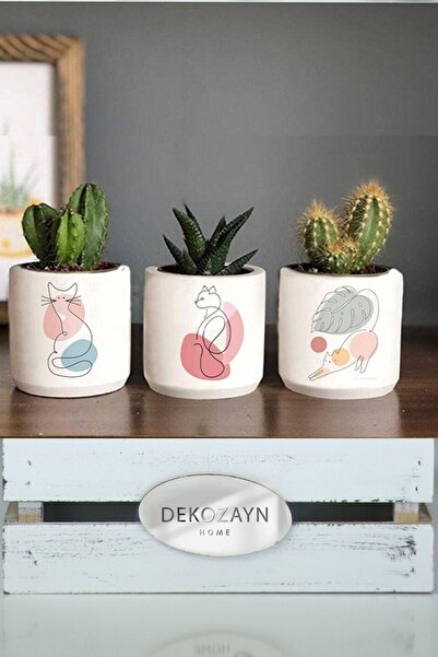 Dekozayn Home Pastel Kedi Kedi Desenli Saksı Set- Küçük Boy Sukulent Saksısı ...