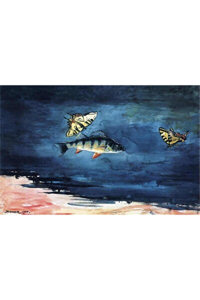 Tablosan Pictură pe pânză cu peisaj cu pești și fluturi în acuarelă 30x40 Cm Kb27220 30x40 Cm