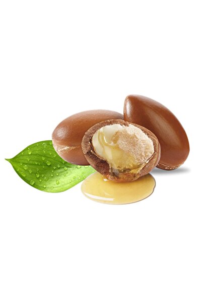 1 Adet Argan Tohum Spinosa Tip