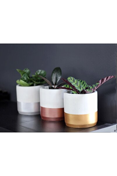 Genel Markalar 3lü El Yapımı Altın Gümüş Bakır Beton Saksı Üçlü Set- Küçük Boy Sukulent Saksısı Çizim Kaktüs