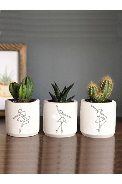 Genel Markalar Balerin Kadın Çizimli 3lü Set Kaktüs Ve Sukulent Saksısı Hediy...