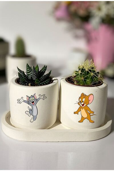 Genel Markalar Tom Ve Jerry Baskılı Minimal Sukulent Ya Da Kaktüs Saksı Seti ...