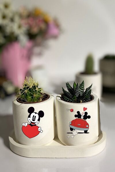 Genel Markalar Tabaklı Mickey Mouse Baskılı Mini Saksı Seti Hediyelik Dekoratif
