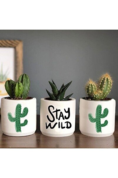 Genel Markalar Stay Wild Kaktüs Desenli Saksı Üçlü Set- Küçük Boy Sukulent Sa...