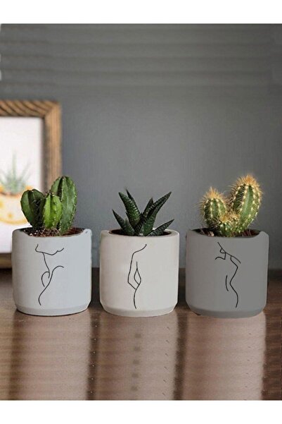 Genel Markalar Minimalist Kadın Çizimli 3lü Set Kaktüs Ve Sukulent Saksısı Hediyelik (ÇİÇEKSİZ)