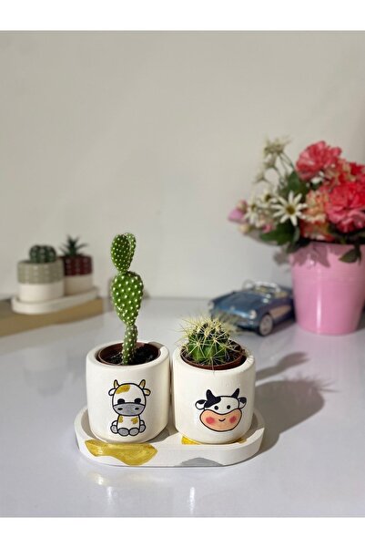 Dekozayn Home Tabaklı 2li Altın Inek Motifli Mini Saksı Seti