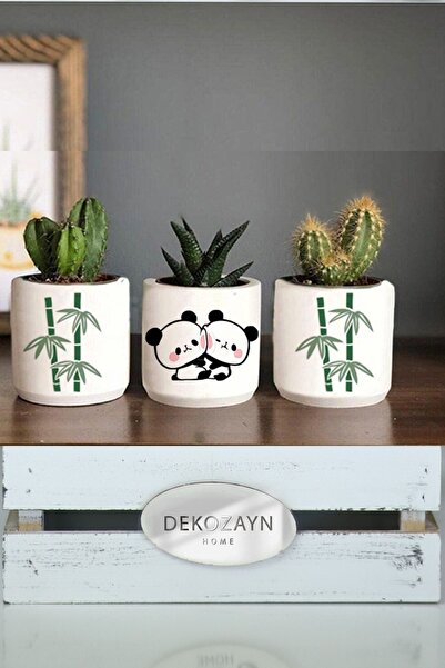 Dekozayn Home Bambu Panda Desenli Saksı Üçlü Set- Küçük Boy Sukulent Saksısı ...