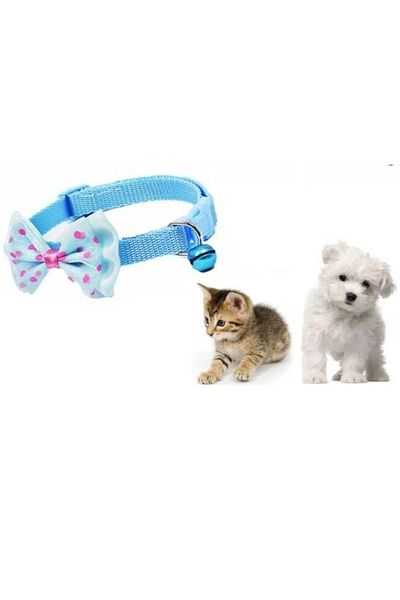 Gerçek Efsane Most Practical Cat Dog Health and Cleaning Products Petshop Bulk Products Stand
