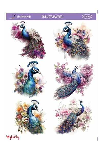 LİNEART Lineart Sulu Transfer LNT214 25x35cm