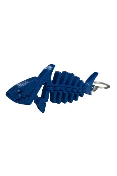 Tesseract Keychain Moving Shark