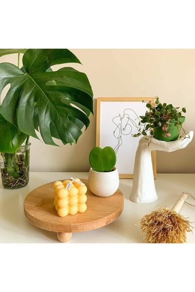 woodretro Wooden Presentation Serving 24 Cm