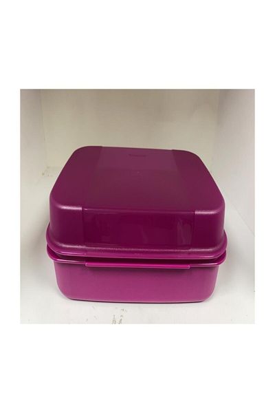 Tupperware Purple F20 Model Storage Container