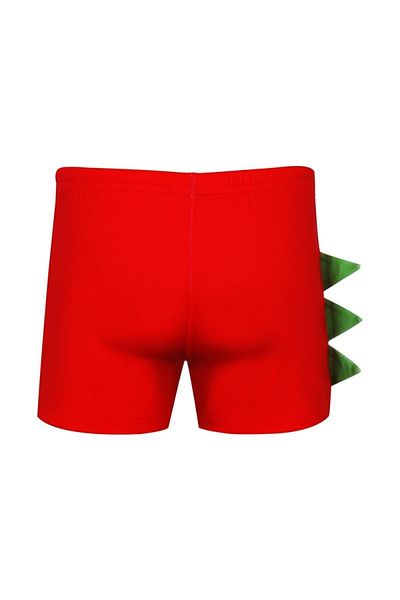 Kom Dude Dinosaur Printed Kids Shorts Swimsuit