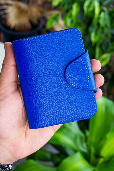 Garbalia Luzern Leather Saks Blue Unisex Wallet with Additional Card Holder