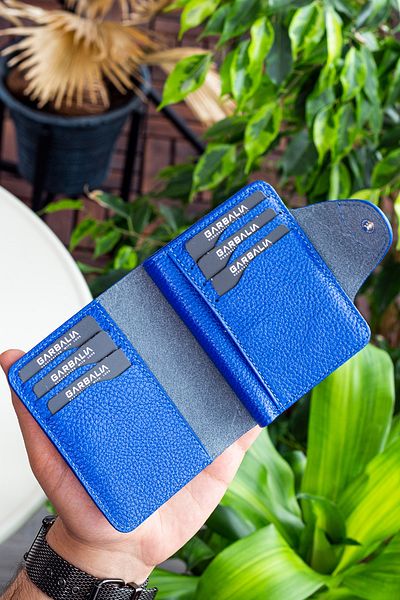 Garbalia Luzern Leather Saks Blue Unisex Wallet with Additional Card Holder