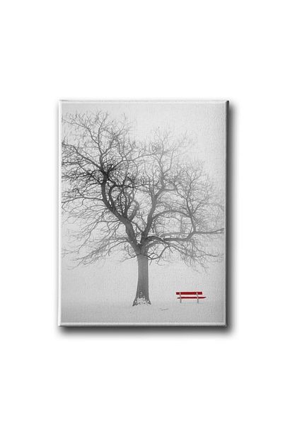 Desenlio Winter Canvas Painting