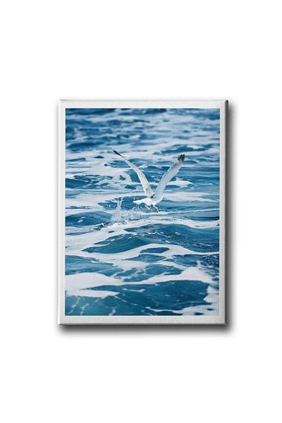 Desenlio Pictură pe pânză Pescăruș