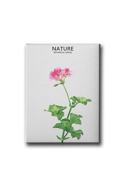 Desenlio Botanical Canvas Painting