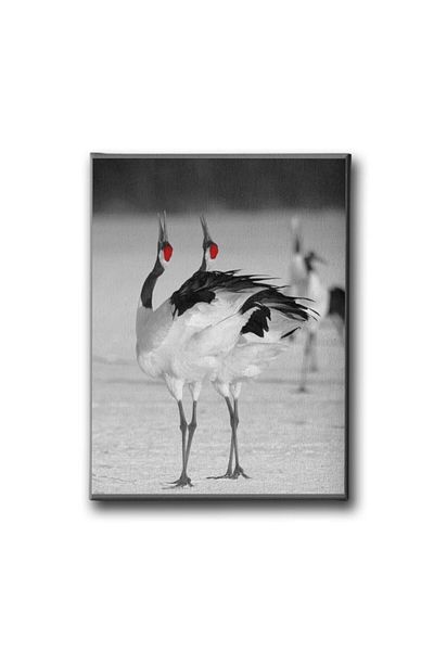 Desenlio Japanese Crane Canvas Painting