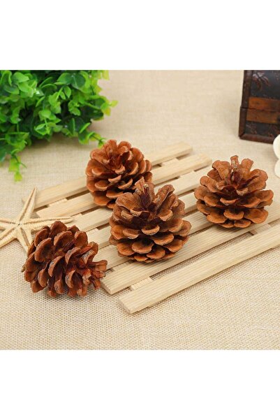 Aker Hediyelik 40lı Sağlıklı Dekoratif Çam Kozalakları Dekor Kozalak Satın Al...