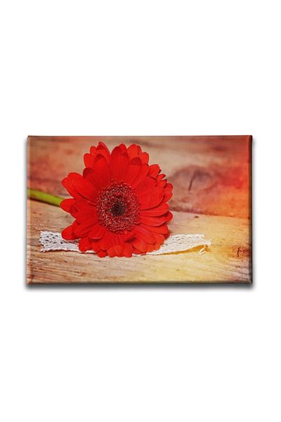 Desenlio Flower Landscape Painting