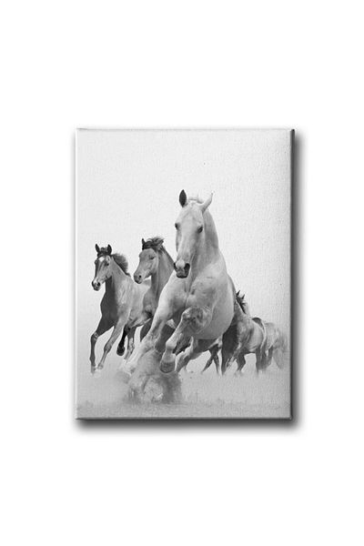Desenlio Horses Canvas Painting
