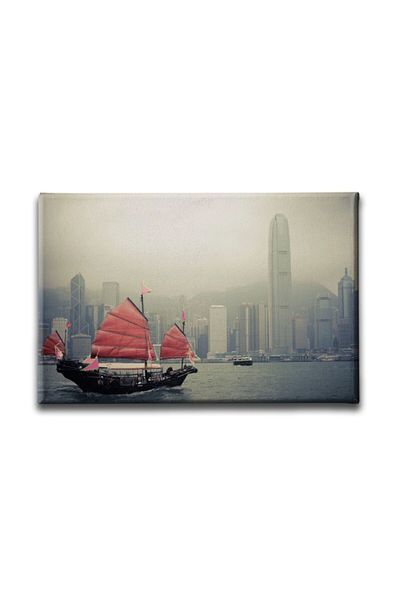 Desenlio Hong Kong Harbor Canvas Art Print