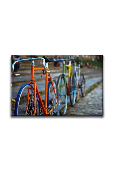 Desenlio Bicycles Canvas Painting