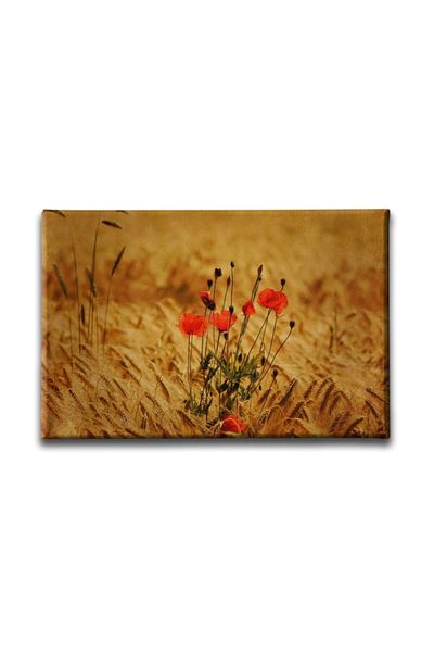Desenlio Wheat Field Landscape Painting