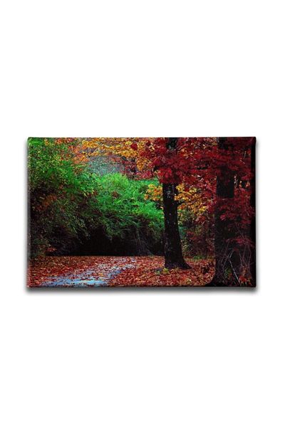 Desenlio Autumn Landscape Painting