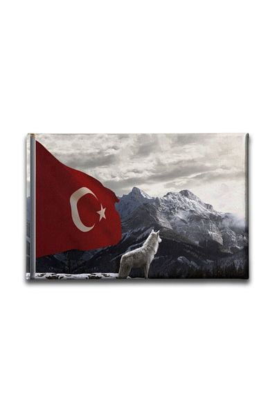 Desenlio Turkish Flag with Bozkurt Art Print