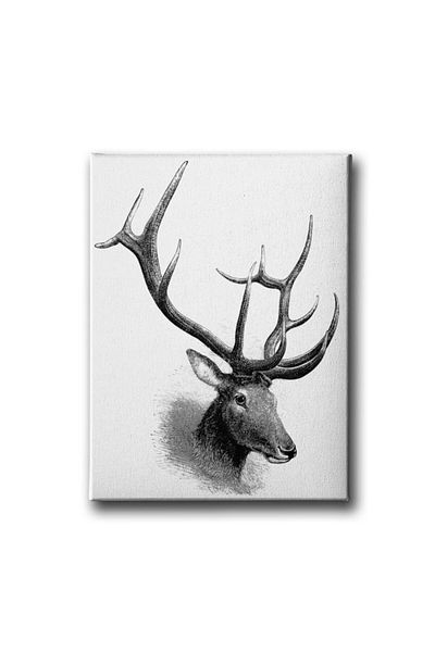 Desenlio Deer Canvas Painting