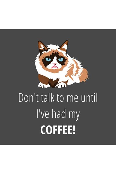 Pixxa Don't Talk To Me Until I've Had My Coffee T-shirt Mug
