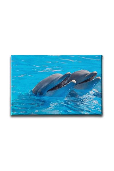 Desenlio Pictură pe pânză Delfin
