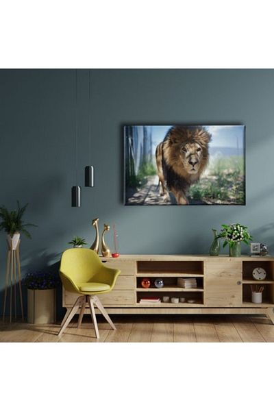 Desenlio Owl Canvas Painting