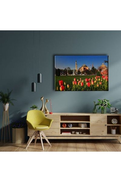Desenlio Tabloul Moscheei Hagia Sofia