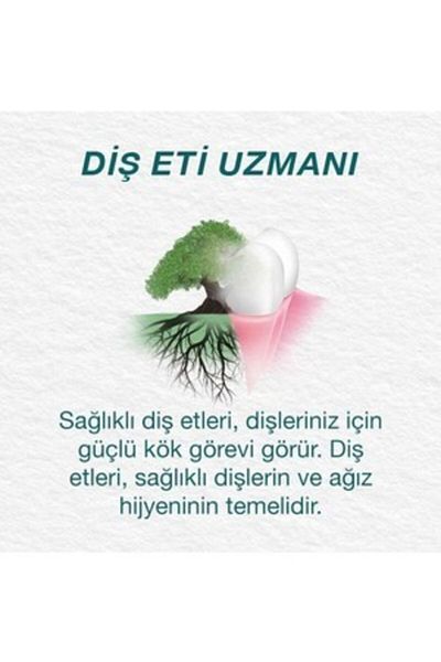 Tiens Orecare Herbal Toothpaste Organic