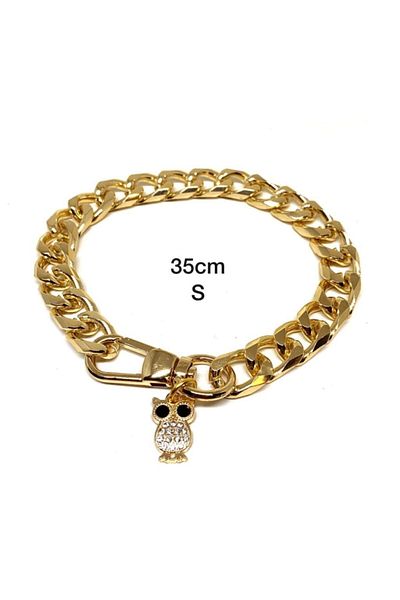 Petbucks Pet Accessories قلادة سلسلة ذهبية على شكل كلب قطة S 35 سم 2107zkbaykuş
