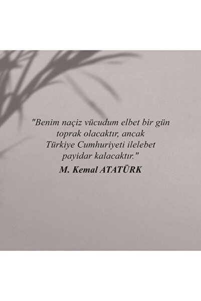 HOMEPACK Atatürk Çerçeveli Tablo Siyah