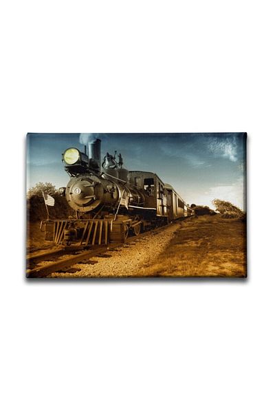 Desenlio Black Train Canvas Painting