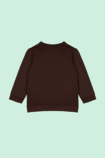 TRENDYOLKIDS Boy's Brown Seasonal Sweatshirt - Thin Galactic Pattern, Crew Neck Tkdaw25sw00005